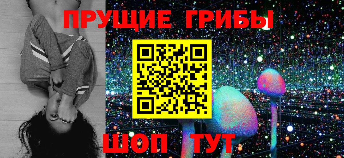 Псилоцибиновые грибы мицелий Армавир